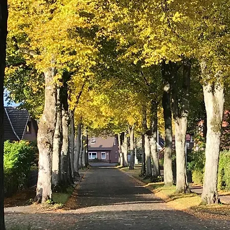 Ferienwohnung Am Holzfeld Schneverdingen Exterior foto