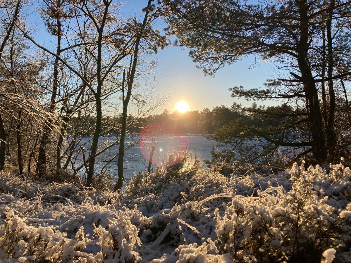 Am Holzfeld